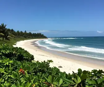 As 7 melhores praias oceânicas do Pará