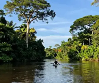 Aventura e Beleza da Canoagem no Pará: Explore os Rios da Amazônia