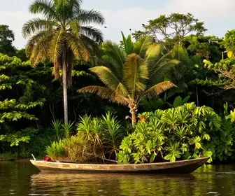 Aventuras Fluviais: Como Viajar de Barco pelo Pará