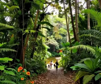 Belterra: O Destino Imperdível na Floresta Amazônica