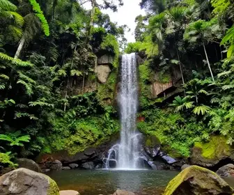 Cachoeira do Arari: Um Guia Completo para Visitantes