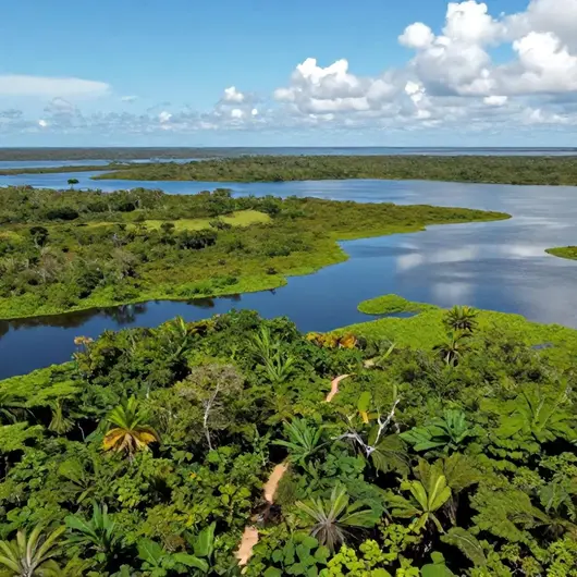 Descubra a Área de Proteção Ambiental do Marajó Descubra a Área de Proteção Ambiental do Marajó