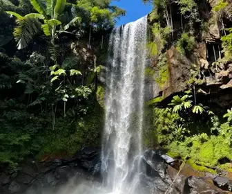 Descubra a Encantadora Cachoeira de Águas Claras em Carajás, Pará