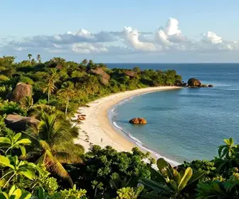 Descubra a Ilha das Onças: Um Paraíso Natural no Pará Descubra a Ilha das Onças: Um Paraíso Natural no Pará