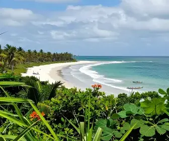 Descubra a Ilha de Cotijuba: Paraíso Natural no Pará