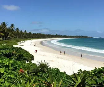 Descubra a Ilha de Outeiro: Um Paraíso no Pará Descubra a Ilha de Outeiro: Um Paraíso no Pará