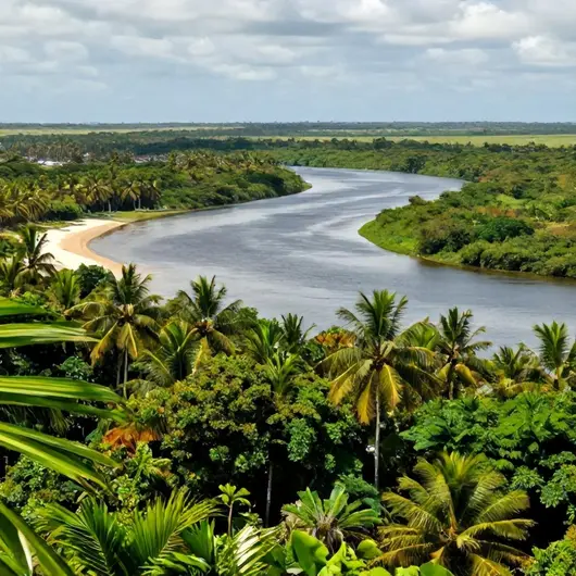 Descubra a Ilha do Marajó: Um Paraíso Brasileiro Descubra a Ilha do Marajó: Um Paraíso Brasileiro
