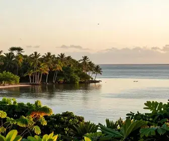 Descubra a Ilha do Marco: Um Refúgio Natural no Pará Descubra a Ilha do Marco: Um Refúgio Natural no Pará