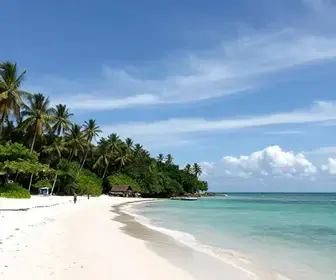 Descubra a Ilha do Pilão: Um Paraíso Escondido no Pará