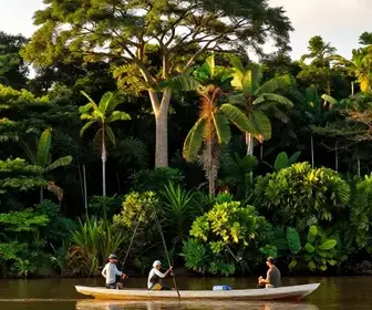 Descubra a Pesca Esportiva no Rio Xingu: Uma Aventura Inesquecível