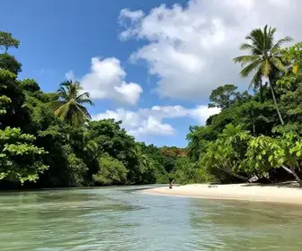 Descubra a Ponta do Cururu: Um Paraíso nas Praias Fluviais do Pará