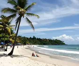 Descubra a Praia da Corvina: Um Paraíso em Belém do Pará