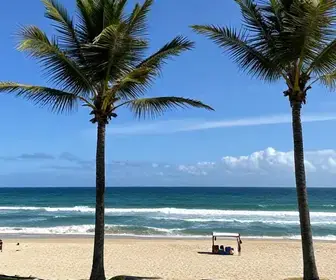 Descubra a Praia da Princesa em Algodoal - Uma Joia das Praias Oceânicas do Pará