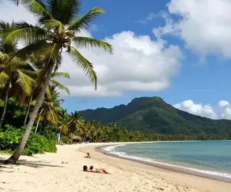 Descubra a Praia de Joanes: Um Paraíso Natural no Pará