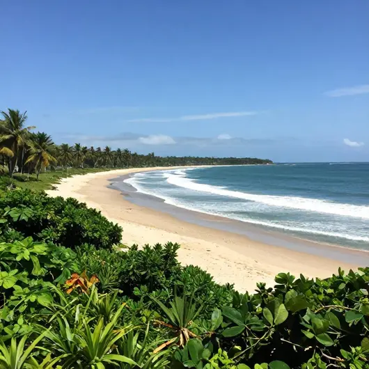 Descubra a Praia de Ponta de Pedras Descubra a Praia de Ponta de Pedras