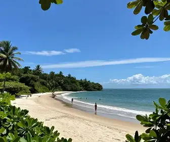 Descubra a Praia do Murubira: Um Paraíso Fluvial no Pará
