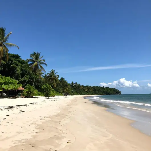 Descubra a Praia Fluvial do Alamal