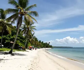 Descubra as Belas Praias de Alter do Chão no Pará