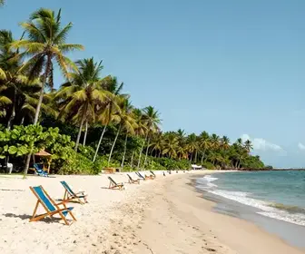 Descubra as Belezas da Praia de Marudá no Pará