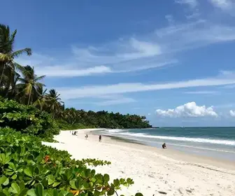 Descubra as Belezas da Praia do Crispim no Pará