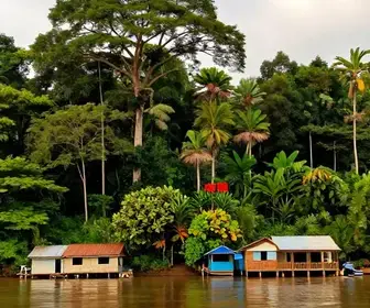 Descubra as Comunidades do Rio Arapiuns: Um Tesouro do Turismo Rural no Pará