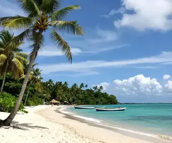 Descubra as Encantadoras Praias de Algodoal no Pará Descubra as Encantadoras Praias de Algodoal no Pará