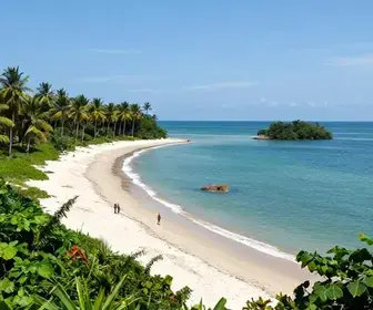 Descubra as Encantadoras Praias do Rio Xingu no Pará