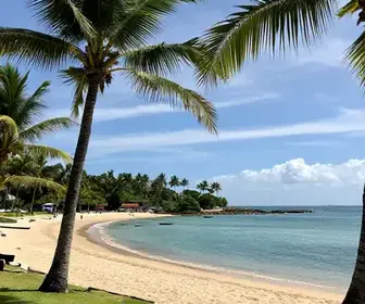 Descubra as Maravilhosas Praias de Santarém no Pará Descubra as Maravilhosas Praias de Santarém no Pará