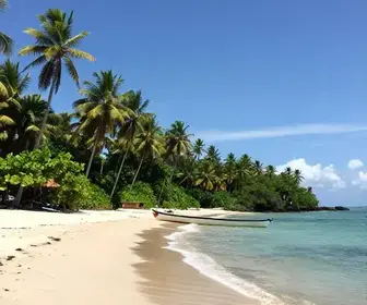 Descubra as Melhores Praias do Pará: Um Guia Completo Descubra as Melhores Praias do Pará: Um Guia Completo