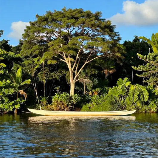 Descubra o ACQUA AMAZÔNIA ALUGUEL DE LANCHAS