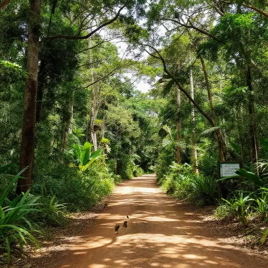 Descubra o BioParque Vale Amazônia Descubra o BioParque Vale Amazônia