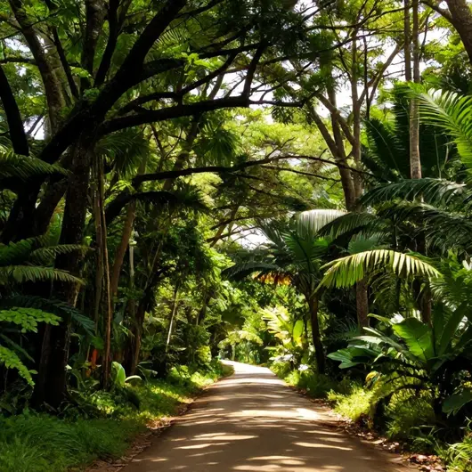 Descubra o Bosque Rodrigues Alves Descubra o Bosque Rodrigues Alves