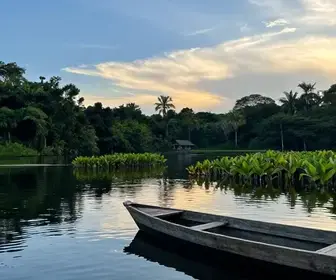 Descubra o Encanto do Lago do Maicá no Pará Descubra o Encanto do Lago do Maicá no Pará
