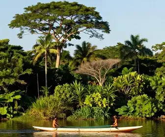 Descubra o Encanto do Rio Amazonas no Pará: Beleza Natural e Cultura Descubra o Encanto do Rio Amazonas no Pará: Beleza Natural e Cultura
