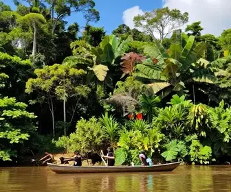 Descubra o Encanto do Tapajós: Um Roteiro Imperdível Descubra o Encanto do Tapajós: Um Roteiro Imperdível