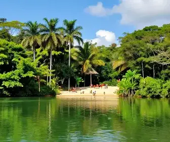 Descubra o Lago Verde: Um Tesouro em Alter do Chão, Pará