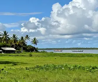 Descubra o Melhor Momento para Visitar o Marajó