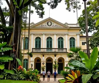 Descubra o Museu Paraense Emílio Goeldi: Um Patrimônio da Cultura Amazônica
