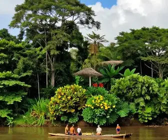 Descubra o Pará: Um Roteiro Imperdível de 7 Dias
