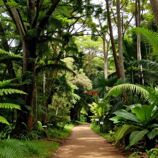 Descubra o Parque do Utinga