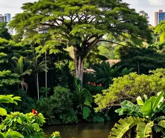 Descubra o Parque Nacional da Amazônia: um Paraíso Natural Descubra o Parque Nacional da Amazônia: um Paraíso Natural