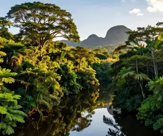 Descubra o Parque Nacional da Serra do Pardo no Pará: Um Destino Imperdível Descubra o Parque Nacional da Serra do Pardo no Pará: Um Destino Imperdível