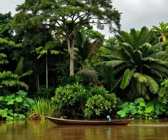 Descubra o Roteiro Incrível pelo Xingu no Pará Descubra o Roteiro Incrível pelo Xingu no Pará