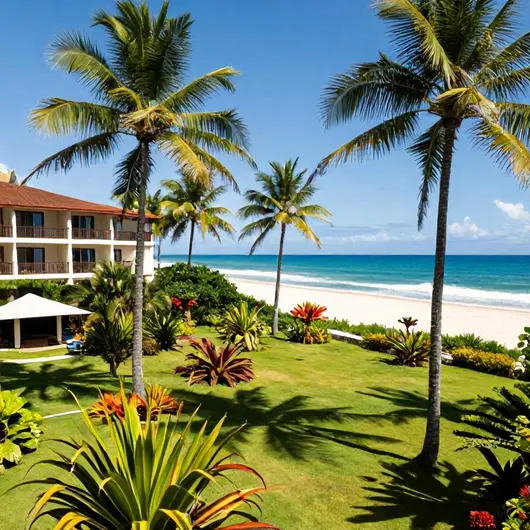 Descubra o SALINAS HOTEL e Suas Atrações Descubra o SALINAS HOTEL e Suas Atrações