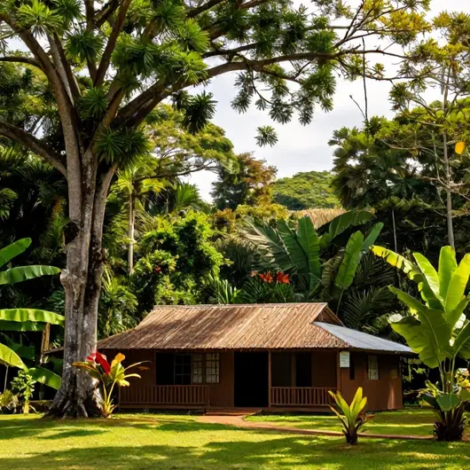 Descubra o Valeverde Turismo