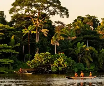 Descubra os Encantos dos Passeios pelo Rio Arapiuns no Pará
