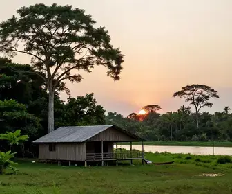 Descubra os Melhores Hostels no Marajó para Sua Aventura