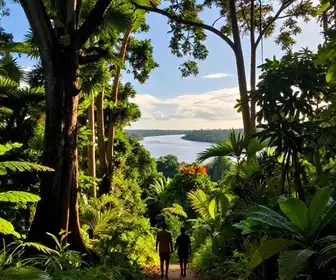 Descubra os melhores passeios em Pará: guia completo