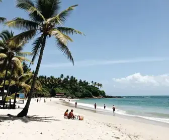 Entenda a Balneabilidade das Praias do Pará para uma Viagem Segura
