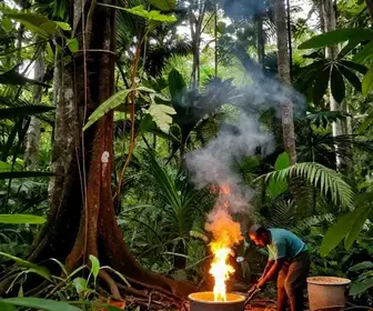 Entenda o Ciclo da Borracha no Pará: História e Impactos Entenda o Ciclo da Borracha no Pará: História e Impactos